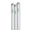 4' SunLite® T-8 Bulbs, Set Of 3 -Garden Shop 34745 001ed tif