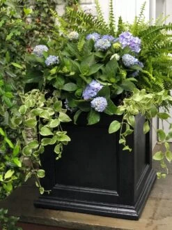 Fairfield Self-Watering Square Planter, 20” X 20” -Garden Shop 39 618 205V tif