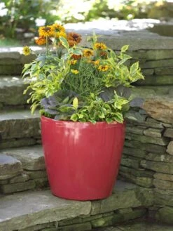 Viva Round Self-Watering Rolling Planter, 17.25” Diameter 11 Viva Round Self-Watering Rolling Planter, 17.25” Diameter -Garden Shop 39326 046 tif