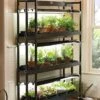 3-Tier Sunlite® Garden -Garden Shop 39357 004 grow lights with three shelves large tif