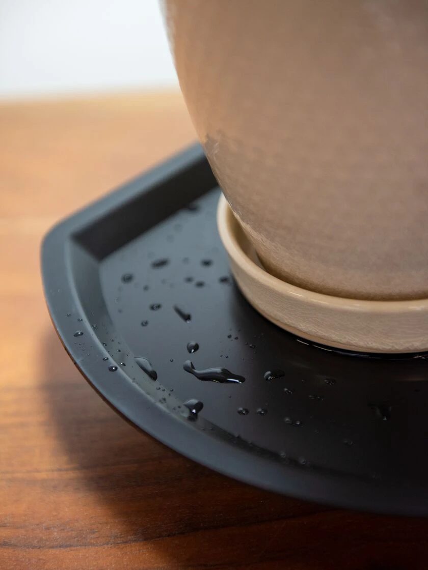 Agrobrite Desktop Plant Light 5 Agrobrite Desktop Plant Light - Image 3