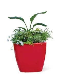 Viva Square Self-Watering Rolling Planter, 20" Diameter, Set Of 2 20 Viva Square Self-Watering Rolling Planter, 20" Diameter, Set Of 2 -Garden Shop 3 4 crop 8612930 0037 tif