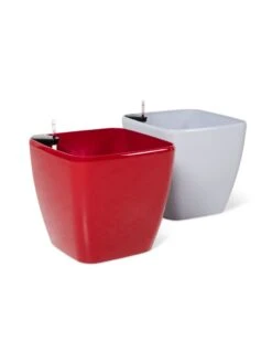 Viva Square Self-Watering Rolling Planter, 20" Diameter, Set Of 2 25 Viva Square Self-Watering Rolling Planter, 20" Diameter, Set Of 2 -Garden Shop 3 4 crop 8612930 0104
