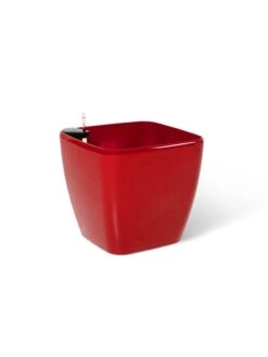 Viva Square Self-Watering Rolling Planter, 20" Diameter, Set Of 2 27 Viva Square Self-Watering Rolling Planter, 20" Diameter, Set Of 2 -Garden Shop 3 4 crop 8612930 0105