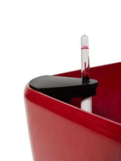 Viva Square Self-Watering Rolling Planter, 20" Diameter, Set Of 2 21 Viva Square Self-Watering Rolling Planter, 20" Diameter, Set Of 2 -Garden Shop 3 4 crop 8612930 0107