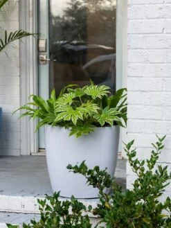 Viva Round Self-Watering Rolling Planter, 20" Diameter, Set Of 2 -Garden Shop 3 4 crop 8612933 0025 tif