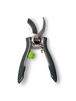 Houseplant Pruner -Garden Shop 3 4 crop 8612961 0012