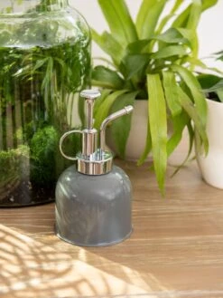 Indoor Plant Mister 14 Indoor Plant Mister -Garden Shop 3 4 crop 8612962 0049