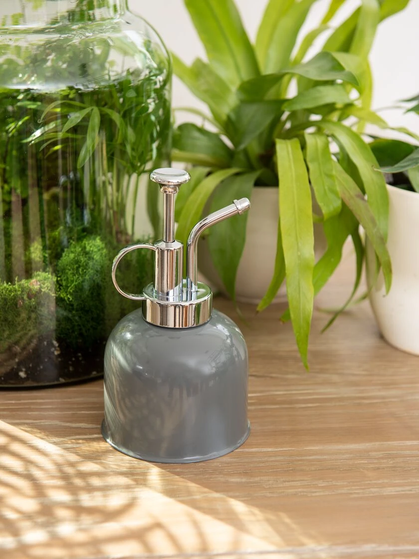 Indoor Plant Mister 5 Indoor Plant Mister - Image 3