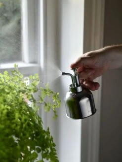 Indoor Plant Mister 16 Indoor Plant Mister -Garden Shop 3 4 crop 8612962 02V tif