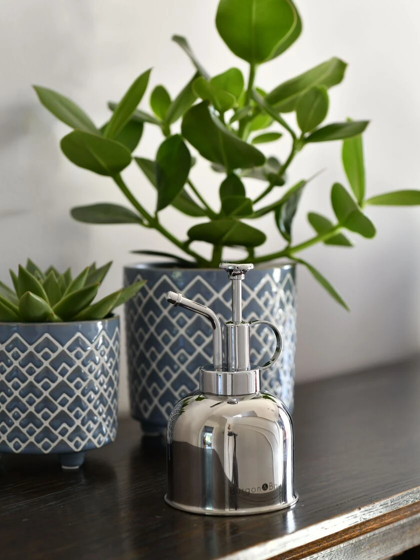 Indoor Plant Mister 6 Indoor Plant Mister - Image 4