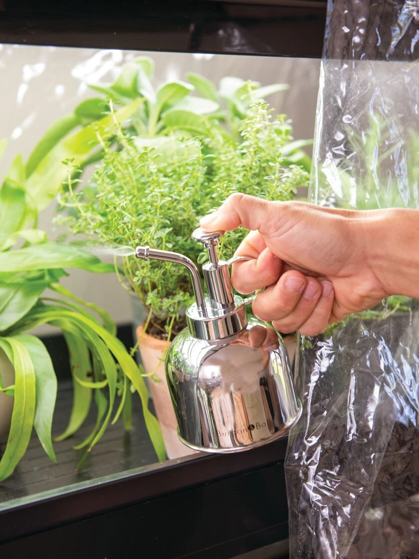 Indoor Plant Mister 4 Indoor Plant Mister - Image 2