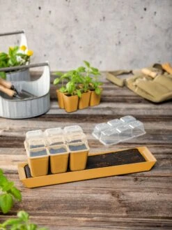 Gardener's Best® Humidity Dome, Set Of 2 -Garden Shop 3 4 crop 8613067 10063