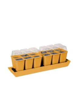 Gardener's Best® Humidity Dome, Set Of 2 -Garden Shop 3 4 crop 8613067 5879 tif