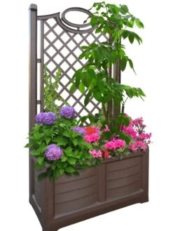Separate Flower Box With Trellis -Garden Shop 3 4 crop 8613626 04V