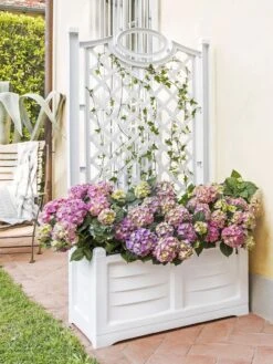 Separate Flower Box With Trellis -Garden Shop 3 4 crop 8613626 13V
