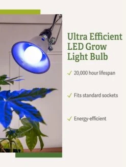 Miracle LED® Grow Light Bulb, Blue -Garden Shop 3 4 crop Miracle Bulb Blue 1