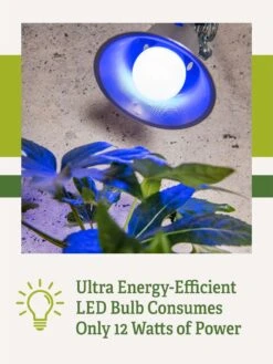 Miracle LED® Grow Light Bulb, Blue -Garden Shop 3 4 crop Miracle Bulb Blue 2