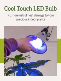 Miracle LED® Grow Light Bulb, Blue -Garden Shop 3 4 crop Miracle Bulb Blue 4