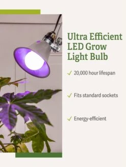 Miracle LED® Grow Light Bulb, Red And Blue -Garden Shop 3 4 crop Miracle Bulb RB 1