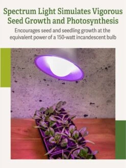 Miracle LED® Grow Light Bulb, Red And Blue -Garden Shop 3 4 crop Miracle Bulb RB 3