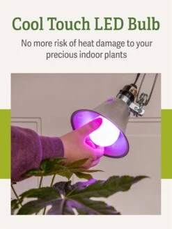 Miracle LED® Grow Light Bulb, Red And Blue -Garden Shop 3 4 crop Miracle Bulb RB 4