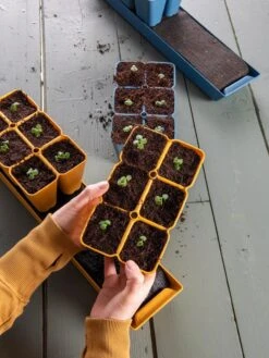 Gardener's Best® XL Seed Starting Kit -Garden Shop 40 135 6186