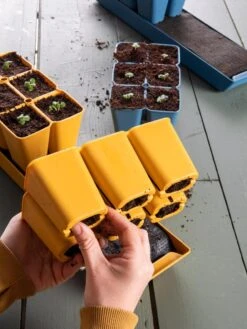 Gardener's Best® XL Seed Starting Kit -Garden Shop 40 135 6188