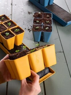 Coco Coir Seed Starting Mix -Garden Shop 40 135 6192