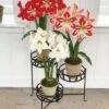 Nesting Triple Pot Stand -Garden Shop 8586747 6012 tif