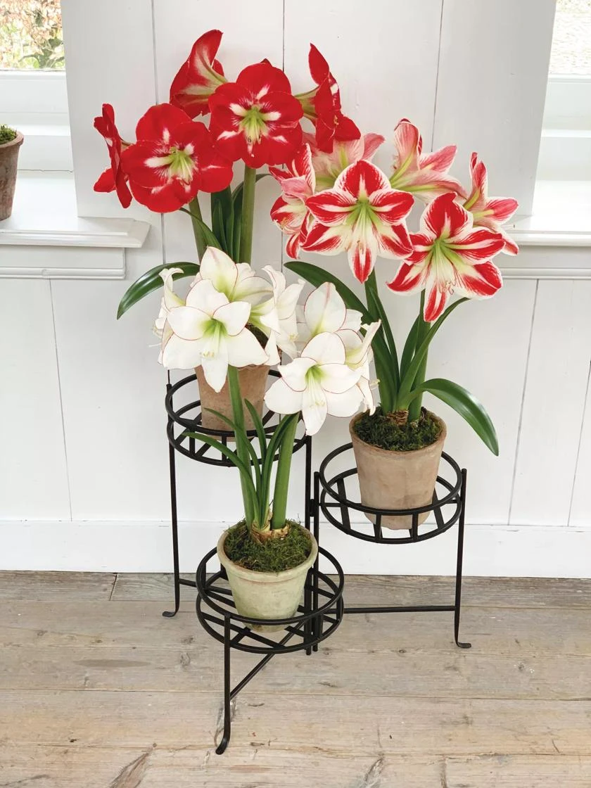 Nesting Triple Pot Stand 3 Nesting Triple Pot Stand