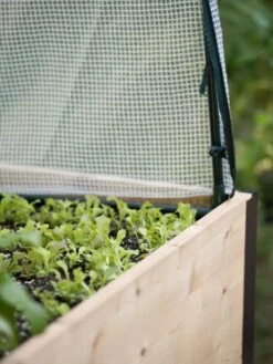 Planter Box, Frame And 2 Covers Kit, 2' X 4' 16 Planter Box, Frame And 2 Covers Kit, 2' X 4' -Garden Shop 8587631 265 tif 1