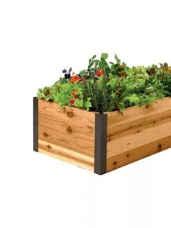 Deep Root Raised Beds, 14" Deep 2' Wide -Garden Shop 8587798 001E 1