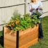 Elevated Raised Bed, 2' X 4' -Garden Shop 8587822 675 tif