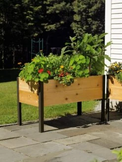 Elevated Planter Box, 2' X 4' -Garden Shop 8587823 704 tif