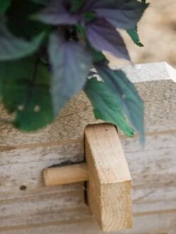 Farmstead Cedar Raised Garden Beds, 2' -Garden Shop 8588144 12V tif