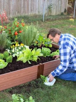 Composite Raised Bed With 1" Boards, 11" 20 Composite Raised Bed With 1" Boards, 11" -Garden Shop 8588274 02V tif
