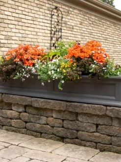 Fairfield Self-Watering Window Box, 5’ -Garden Shop 8588938 105V tif