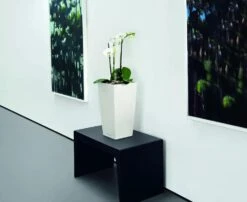 Lechuza® Cubico Color Tall Self-Watering Planters -Garden Shop 8589485 03V tif