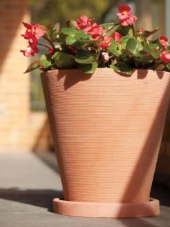 Universal Round Planter Saucers 9 Universal Round Planter Saucers -Garden Shop 8589526 001V tif