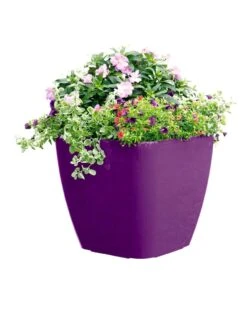 Viva Square Self-Watering Rolling Planter, 17.5" Diameter -Garden Shop 8589778PR 6126 tif