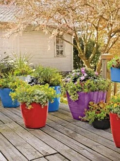 Viva Square Self-Watering Rolling Planter, 17.5" Diameter -Garden Shop 8589778 09000 tif