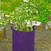 Gardener's Best® Potato Grow Bag -Garden Shop 8589785PR 4191 potato grow bags with handles tif