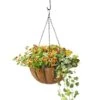 AquaSav™ Oxford Hanging Basket, 14" -Garden Shop 8589789 028 tif