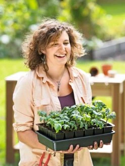 Growease Seed Starter Kit 18 Growease Seed Starter Kit -Garden Shop 8589987 0446 tif