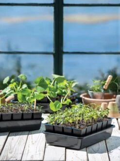 Growease Seed Starter Kit 21 Growease Seed Starter Kit -Garden Shop 8589987 7871 tif