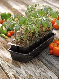 Growease Seed Starter Kit 15 Growease Seed Starter Kit -Garden Shop 8589988 1056 tif