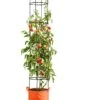 Gardener's Best® Tomato Grow Bag Set -Garden Shop 8590013PP 151 Tomato grow bag set tif