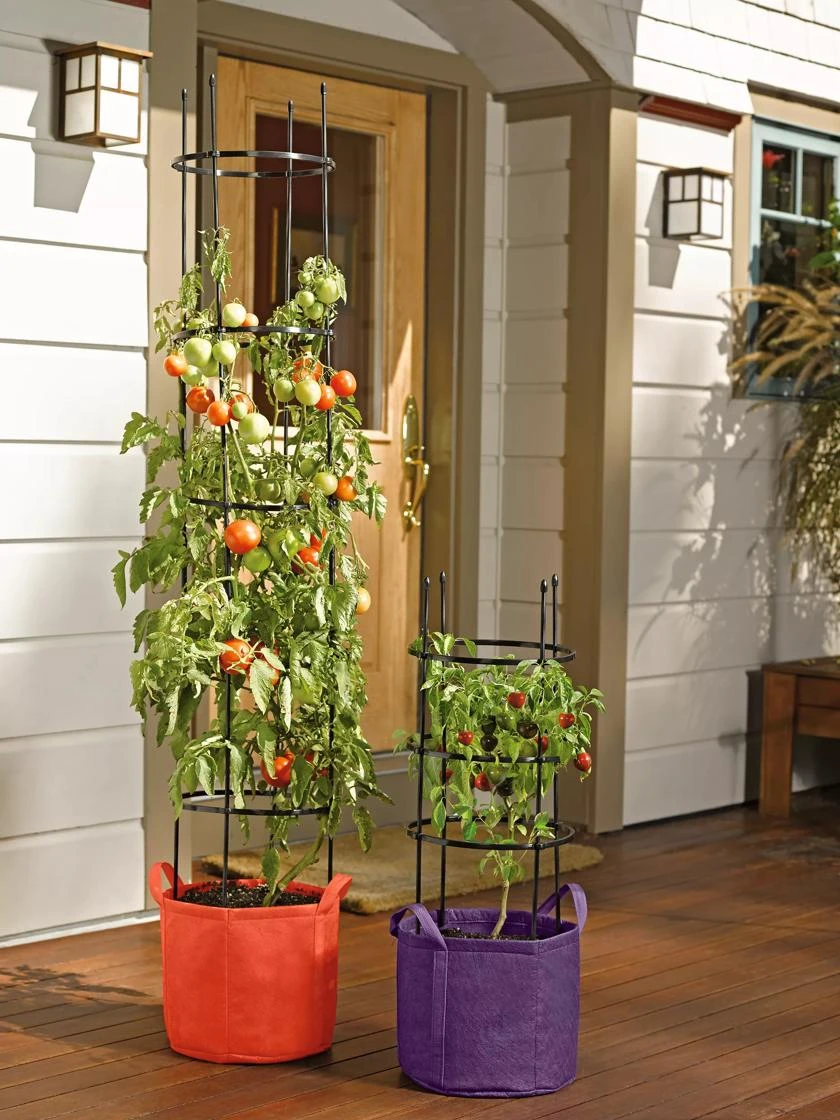 Gardener's Best® Tomato Grow Bag Set 6 Gardener's Best® Tomato Grow Bag Set - Image 4