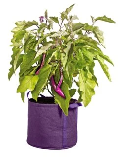 Gardener's Best® Universal Grow Bag 12 Gardener's Best® Universal Grow Bag -Garden Shop 8590024PR 214 tif